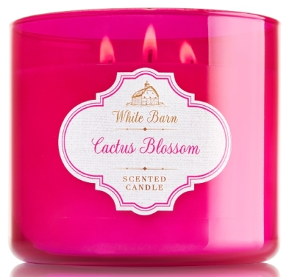 Cactus Blossom White Barn Candle Review