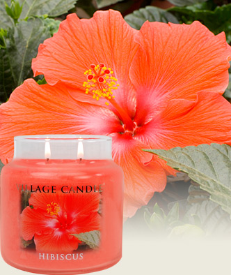 http://candlefind.com/wp-content/uploads/uploads/images/Candle%20Review%20pictures/Village%20Candles/Village%20Candle_hibiscus.jpg