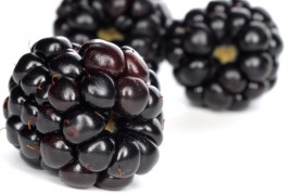 Blackberries-closeup