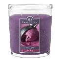 colonial-berry-sorbet-candle-125