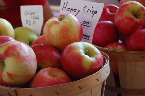 Solving the Honeycrisp apple ancestry mystery