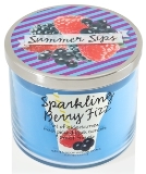 sparkling-berry-fizz-candle-bbw-small