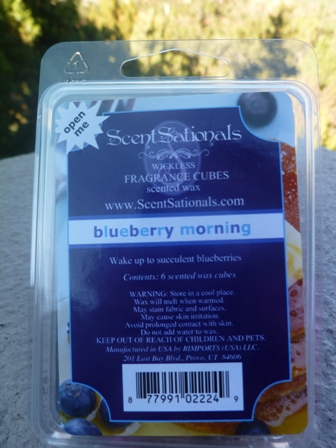 Blueberry Morning - ScentSationals