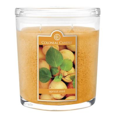 apricot-mint-colonial-candle
