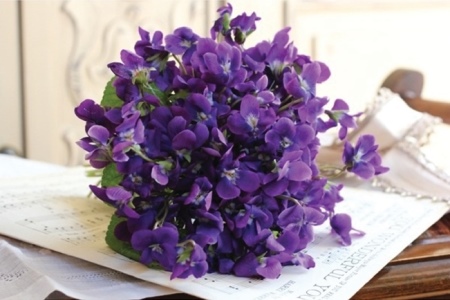 woodland-violets