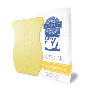 scentsy-dryer-disk