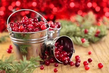 Cranberry Christmas Candle