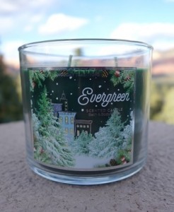 Evergreen candle