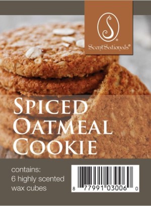Spiced Oatmeal Cookie