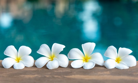 Tahitian Flowers