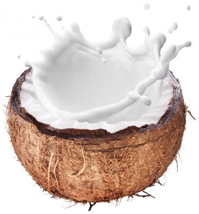 Spiced Coconut Milk