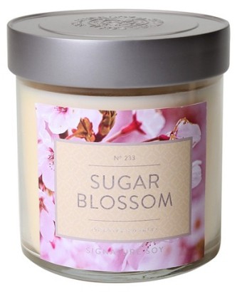 Sugar Blossom Signature Soy Candle Review from Target
