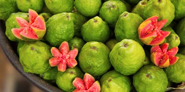 Guava Wax Melt Review