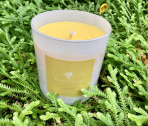 Baan Pomelo Soy Candle Brand Sunshine Candle