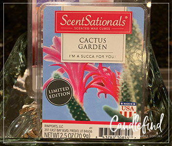 Cactus Garden - ScentSationals - Candlefind
