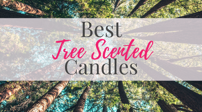 Best Tree Scented Candles