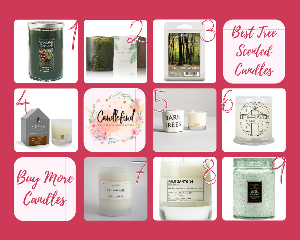 Best Tree Scented Candles