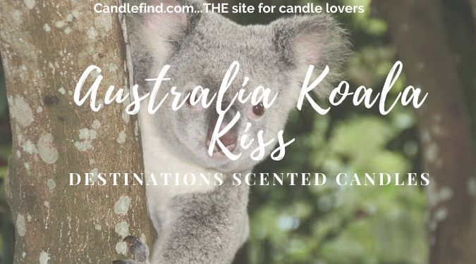 Australia Koala Kiss candle review