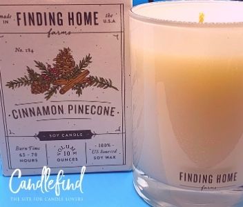 Finding Home Farms Cinnamon Pinecone Candle
