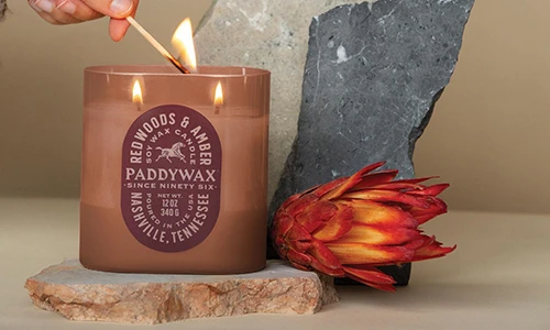 Redwoods & Amber Candle Paddywax