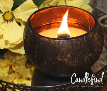 Jungle Culture Coconut Shell Candle