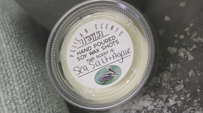 Pelican Scents Sea Salt + Agave Soy Wax Melts Candlefind August Subscription Boxes