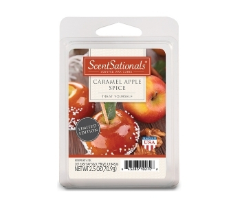 Caramel Apple Spice Wax Melts, ScentSationals [Review]