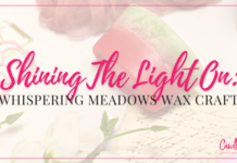 Shining The Light on Whispering Meadows Wax Craft Review
