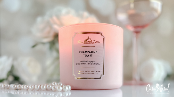 Bath & Body Works Champagne Toast Single Wick Candle Reviews 2024