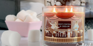 Frozen Lake Candle - Bath & Body Works - Candlefind
