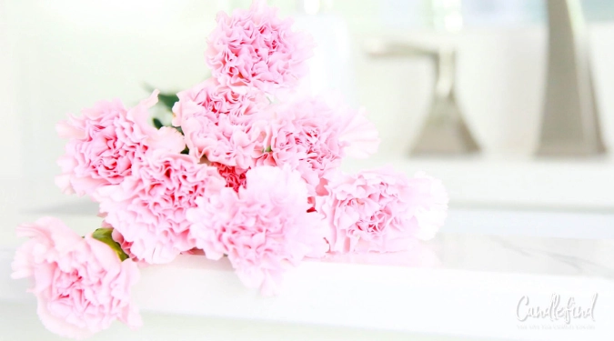 The 5 Best Carnation Scented Candles