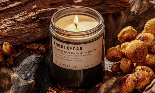 P.F. Candle Co. Enoki Cedar Candle P.F. Candle Co. Enoki Cedar Candle