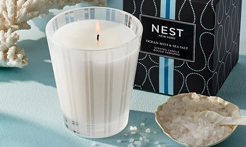 NEST New York Ocean Mist & Sea Salt Candle NEST New York Ocean Mist & Sea Salt Candle