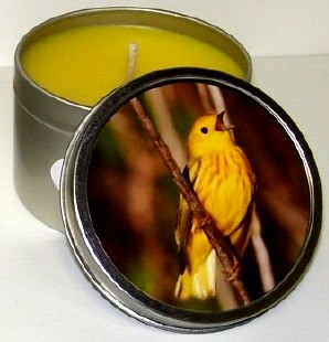Chirpin' Time scented candle review from DnD Ranch Aroma's, Candlefind.com, the site for candle lovers