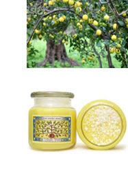 Lemon Tree Scented Candle from For Every Body