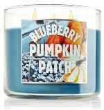 Blueberry Pumpkin Patch - Bath & Body Works