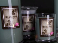 Bayberry Fir - Shorties Candle Co