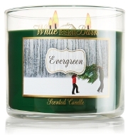 Evergreen - White Barn Candle review